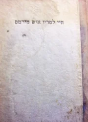 עטיפת הספר חיי לסריו איש טורמס תלאותיו והצלחותיו