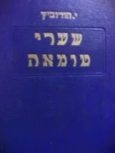 עטיפת הספר שערי טמאה