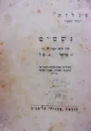 עטיפת הספר גשמים