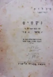 עטיפת הספר גשמים