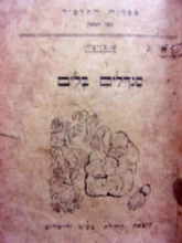 עטיפת הספר סנדלים בלים