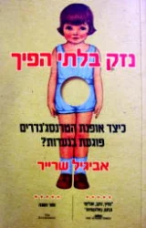 עטיפת הספר נזק בלתי הפיך 
