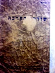 עטיפת הספר שודדי הערבה