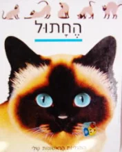 עטיפת הספר התגליות הראשונות שלי 7 החתול