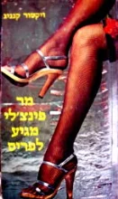 עטיפת הספר מר פנצלי מגיע לפריס