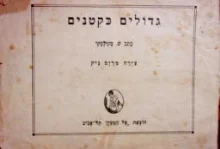 עטיפת הספר גדולים כקטנים