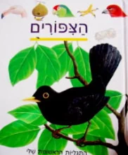 עטיפת הספר התגליות הראשונות שלי 11 הצפורים
