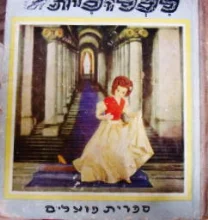 עטיפת הספר לכלוכית