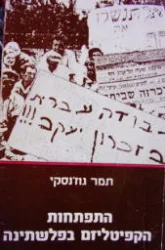 עטיפת הספר התפתחות הקפיטליזם בפלשתינה