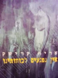 עטיפת הספר אין נפגעים לכוחותינו