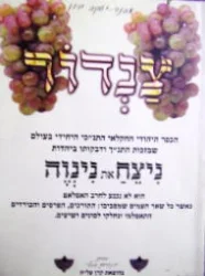 עטיפת הספר צנדור