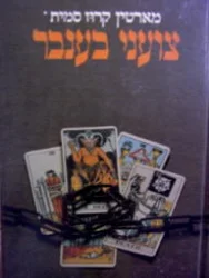 עטיפת הספר צועני במדבר