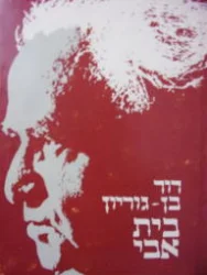 עטיפת הספר בית אבי