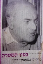 עטיפת הספר בעין הסערה פרקים במאבק דורי