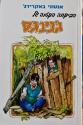 עטיפת הספר הביקתה הקטנה של גנינגס 3