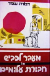 עטיפת הספר מעבר לכביש או חבורת עלומים