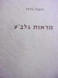 עטיפת הספר מראות גלבע
