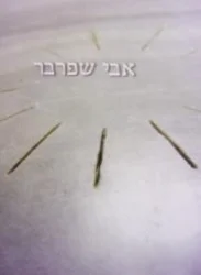 עטיפת הספר אבי שפרבר הכיוון מערב
