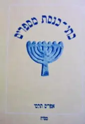 עטיפת הספר בתי כנסת מספרים