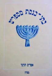עטיפת הספר בתי כנסת מספרים