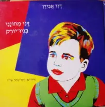 עטיפת הספר דני מחונני בניו יורק