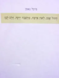 עטיפת הספר חתול שמן לשון אדמה מחשבה ירקה חלב לבן