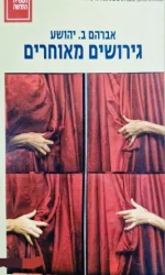 עטיפת הספר גירושים מאוחרים
