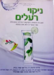 עטיפת הספר ניקוי רעלים