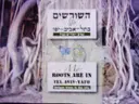 עטיפת הספר השורשים שלי בתל אביב יפו עצים ייחודיים בעיר