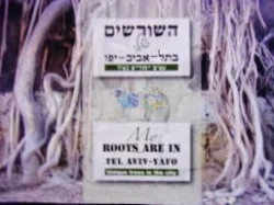 עטיפת הספר השורשים שלי בתל אביב יפו עצים ייחודיים בעיר