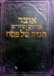 עטיפת הספר אוצר פרושים וציורים על הגדה של פסח