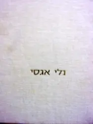 עטיפת הספר נלי אגסי