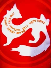 עטיפת הספר להקת פיקוד דרום מציגה מדרום תפתח הטובה-תכניה