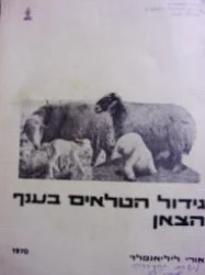 עטיפת הספר גידול הטלאים בענף הצאן