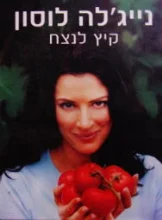 עטיפת הספר קיץ לנצח