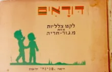 עטיפת הספר דודאים לקט צלליות