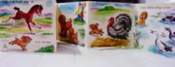 עטיפת הספר מי ישיג הסיח או הכלבלב