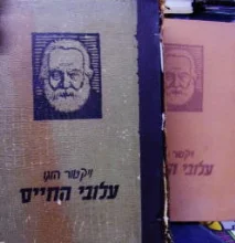 עטיפת הספר עלובי החיים-2 כרכים