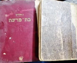 עטיפת הספר בת פרעה-2 כרכים