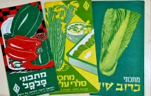 עטיפת הספר המועצה לייצור ולשיווק של ירקות-שלושה עלונים