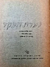 עטיפת הספר נערת הפקר