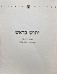 עטיפת הספר יתוש בראש