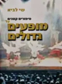 עטיפת הספר סיפורים קטנים על מופעים גדולים