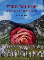 עטיפת הספר יופיו של הוורד טיולי תרבות ורוח לבולגריה
