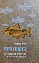 עטיפת הספר לזרום עם הזרם פרדוקסים בהגשמת חזון העידן החדש בישראל