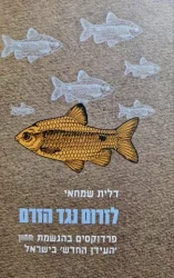 עטיפת הספר לזרום עם הזרם פרדוקסים בהגשמת חזון העידן החדש בישראל