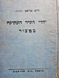 עטיפת הספר ילדי העיר העתיקה 2 במצור