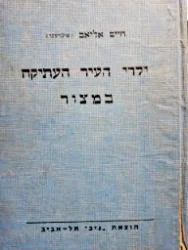 עטיפת הספר ילדי העיר העתיקה 2 במצור