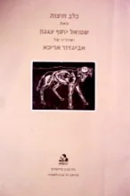 עטיפת הספר כלב חוצות