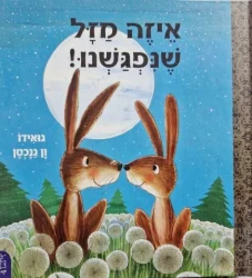 עטיפת הספר איזה מזל שנפגשנו